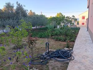 Apartment Maslenica 6573d