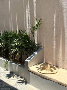 Anywaves Hotel