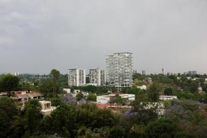 Modern Apartment Downtown Guadalajara, Pool