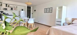Rosario Centro, Santa Fe - Cosmopolitan Apartment