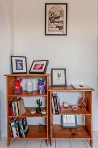 Beautiful 2BR apt right in the heart of Cuernavaca