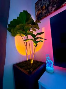 Metro Glow Apartment