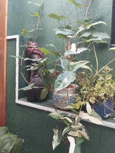 The Next Door