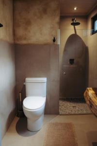 Cabaña Yaguarundi- Sanagua Lodge