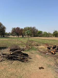 Laxmi Home Stay Khajuraho