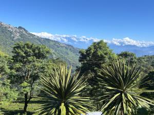 Basnet Homestay