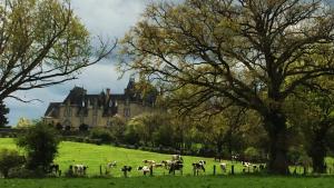 La Sicorie photo 9