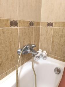 FAVORIT CENTRUM Apartman