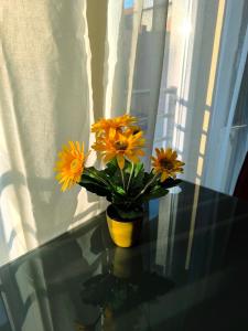 FAVORIT CENTRUM Apartman