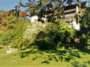 Gemütliche Ferienwohnung