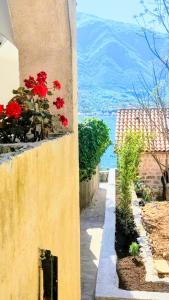 Cozy Apartment near Kotor 20m from the sea