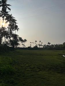 The Mystic Cliff Varkala