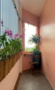 GREEN-TREE Homestay Tuy Hòa