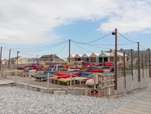 LES OISEAUX EN BAIE DE SOMME
