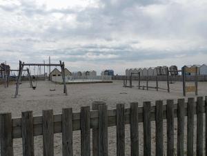 LES OISEAUX EN BAIE DE SOMME