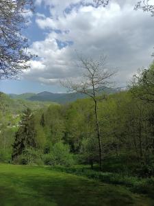 Chalet en Ariège insolite avec vue montagne, calme, nature et ciel étoilé