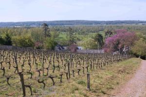 Hotels ibis Styles Chinon : photos des chambres