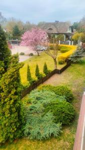 Olly Apartament PARKING i BALKON Ciechocinek