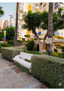 Apartamento Benidorm- Piscina y parking comunitario