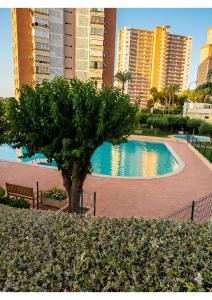 Apartamento Benidorm- Piscina y parking comunitario