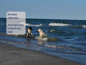 Ferienwohnungen Haus Krabbe zentral & hundefreundlich, ideal für Paare und Alleinreisende, zwischen Bremerhaven und Cuxhaven