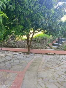 Villa Anna