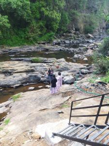 Asthra Homestay Vagamon