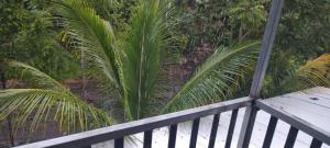 Asthra Homestay Vagamon