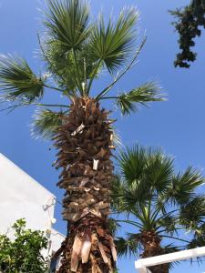 Aeolos Apartments