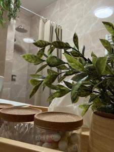 Green Leaf Apartment Cozy and Modern