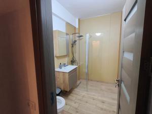 Voievozilor Grand Suite
