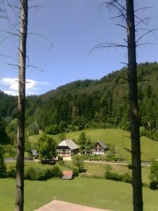 Waldbauernhof Fewo 1