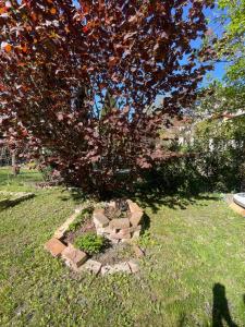Small house with a garden in the heart of Slavkov