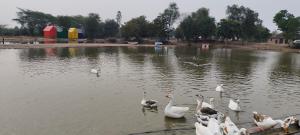 Hotel Goram Garh Resort