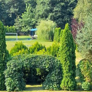 Apartament Pod Olchą Wilczyce