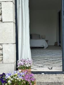 Quiet Countryside House & Secure Garden