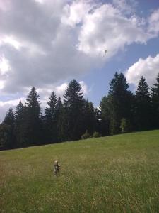 Apartmány Kuřátko