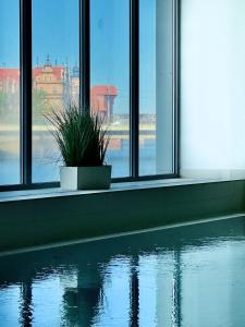 Chmielna Penthouse River View