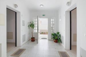 Apartamentos Galego