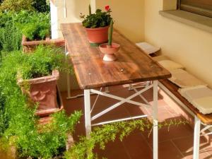 Cuore Etrusco - Colline Fiorentine