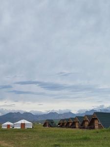 Mongol Altai Tour Camp