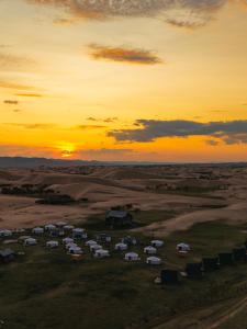 Mongol Altai Tour Camp