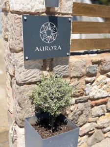 Aurora apartments Room 1
