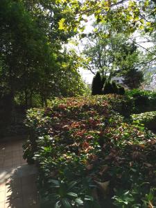 Oasis Resort & Spa with 1 bedr 5-1-Б