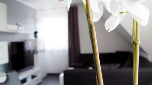 Ferienwohnung Für 2 Personen 54 M²