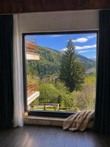 Stone Room with jacuzzi Sinaia