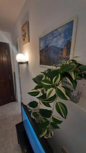 Estudio moderno en Paraiso San Telmo cerca de la playa