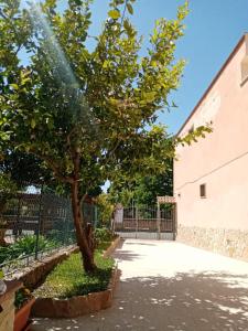 Casa De Grazia