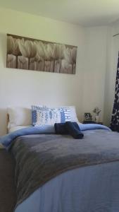 Charming 4-Bedroom Apartment in the Heart of London
