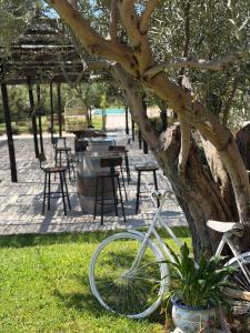 B&B Terre di Paestum